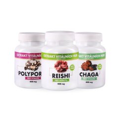 Detoxikace a zdraví močových cest - Polyporus + Reishi + Chaga 2+1 ZDARMA