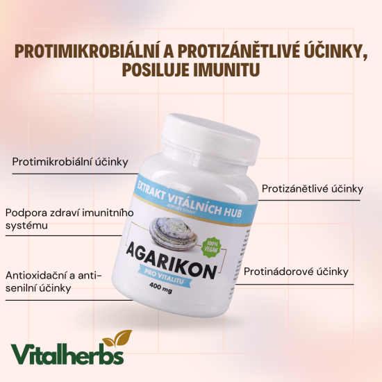 Agarikon - Verpáník lékařský (Fomitopsis officinalis) min.30% polysacharidů