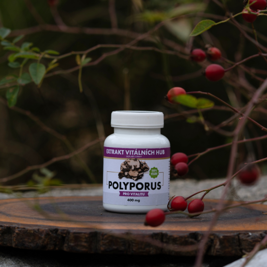 Polyporus - Choroš oříš min.30% polysacharidů