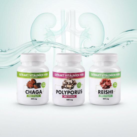 Detoxikace a zdraví močových cest - Polyporus + Reishi + Chaga 2+1 ZDARMA