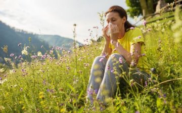 Alergie pod kontrolou? Objevte sílu medicinálních hub, která změní váš život