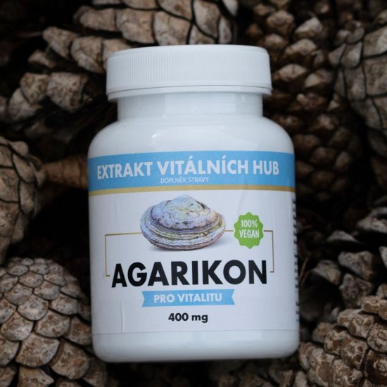Agarikon - Verpáník lékařský (Fomitopsis officinalis) min.30% polysacharidů