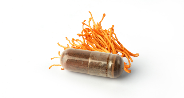 Cordyceps a kyslík