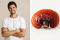 Reishi pro muže: praktický průvodce výběrem a užíváním