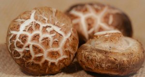 Shiitake a zdravá výživa