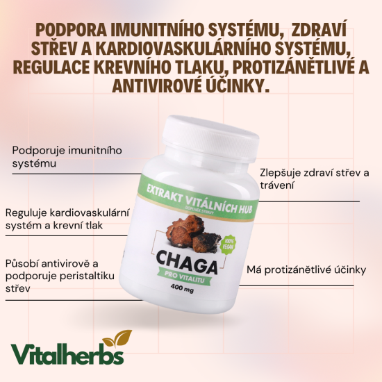 Chaga 50% - Rezavec šikmý  min.50% polysacharidů a 20% Beta glukanů