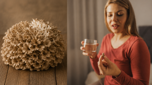 Kdy užívat polyporus: praktický průvodce