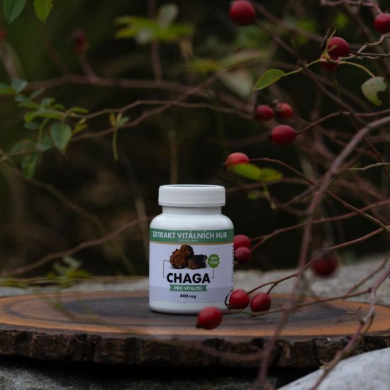 Chaga - Rezavec šikmý min.30% polysacharidů a 4% triterpenů