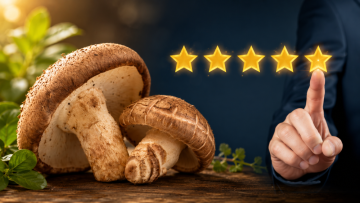 Shiitake recenze: jak vybrat kvalitní extrakt a co sledovat