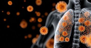 Beta-glukany a imunita: Co o nich říkají odborné studie