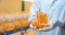 Cordyceps zkušenosti